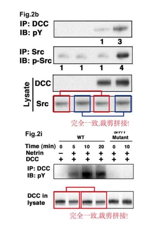 cd12bfbb42294bcca7e383618730c747.jpg