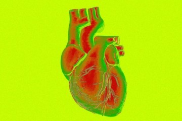 技术前沿洞察：3D打印出活体心脏，AI让你体验登月