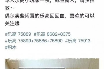 闲鱼上标价9999的乐高展现帖背面年轻人的玩具商场这么野