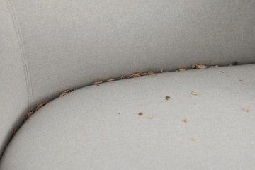 吸尘器早该做成这样了超轻迷你吸力强哪都能吸