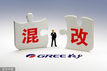 格力电器争夺战高瓴厚朴入决赛经销商身影浮现