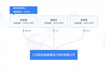 新能源汽车领域再添新玩家葑全新能源豪掷80亿