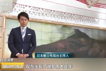 肉蛋虾皆可人造人造肉是啥材料