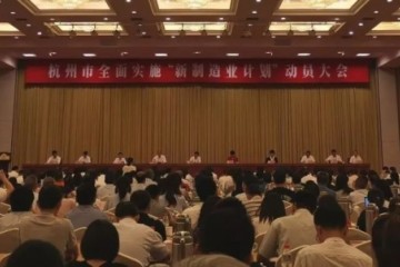 杭州市政府为何抽调干部进驻阿里吉利等民企