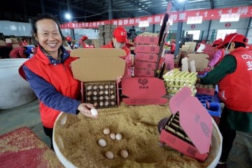 拼多多拟发行8.75亿美元可转债将重投农产品项目
