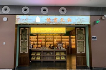 北京商业新地标大兴国际机场商业对标购物中心