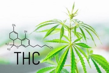 FDA最新警告消费者应停止使用THC电子雾化产品
