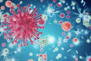 科学家看到艾滋病病毒如何在细胞间传播
