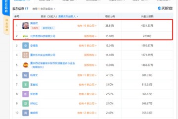 手机厂商百立丰股权出质逾7000万元360为第二大股东