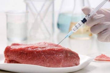 人造肉概念股双塔食品称已着手研发植物蛋白肉