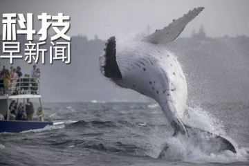 明年我国将发射火星探测器；科学家研获柔性制冷方法