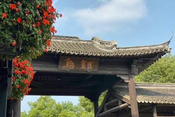 乌镇时间进入第二天5G成新贵AI论坛依然爆满