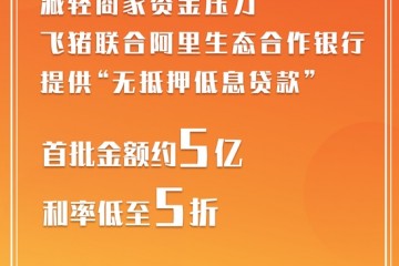 飞猪推出5亿元低息贷款已为商家垫支退票款超10亿元