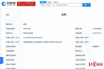 罗永浩姓名正被抢注商标灰色产业链600元博1000万
