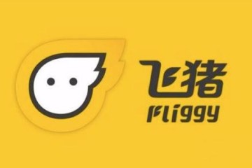 飞猪湖北相关航线已注册超百条机票预定翻倍