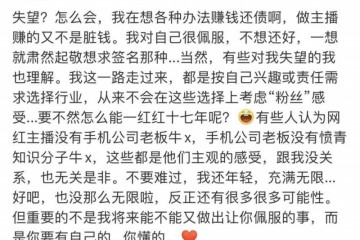 罗永浩我在想方法挣钱还借主播赚的不是脏钱