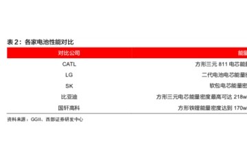王传福怒怼竞争对手一味寻求能量密度是不理性的