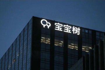 从净赚2亿到巨亏5亿成绩大变脸的宝宝树阅历了什么
