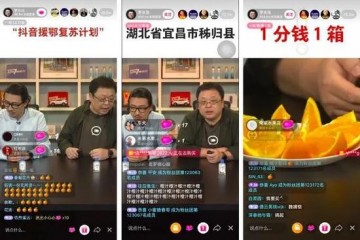 橙子1分钱5斤罗永浩再战直播观众人数却暴降多半