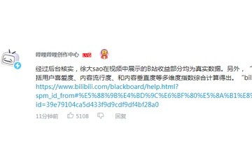 B站回应徐大sao遭质疑视频展现收益均为实在数据