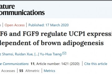 让脂肪不堆集只产热轻松瘦身离咱们越来越近