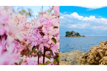 四季如春 · 春如四季——vivo S6记录云南人间四月天